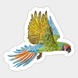 Exotic Parrot Sticker